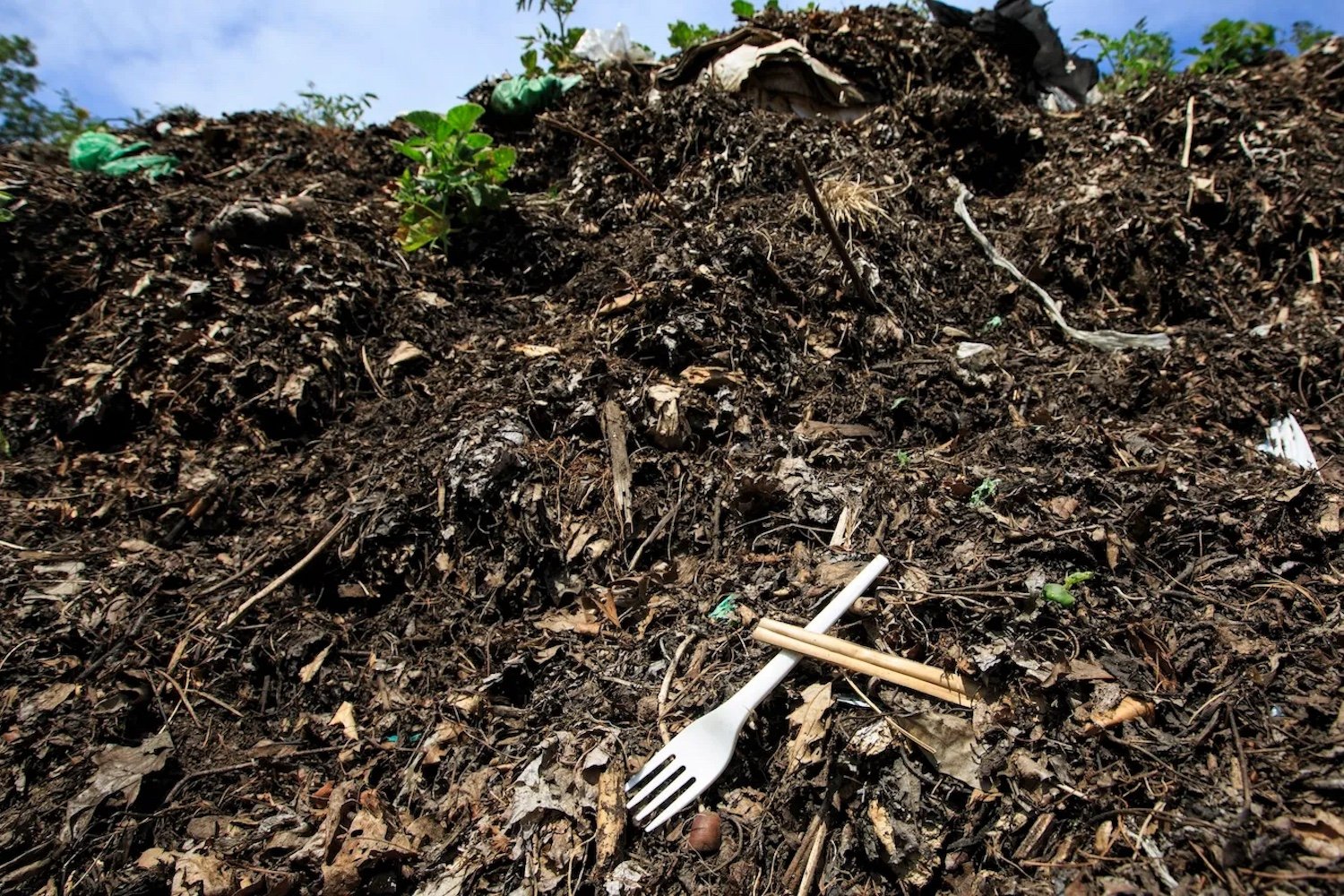 Plastic Fork In Compost